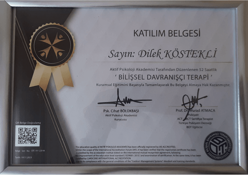 Psikolog Dilek Köstekli sertifika 2